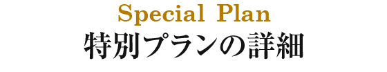 プランの詳細