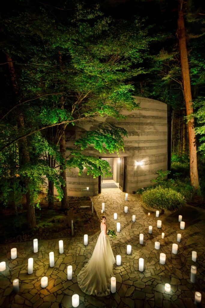 幻想的な森の入り口