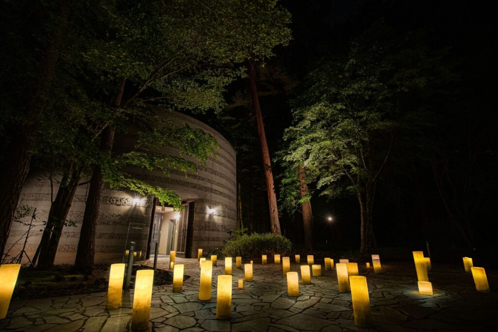 幻想的な夜の祝福