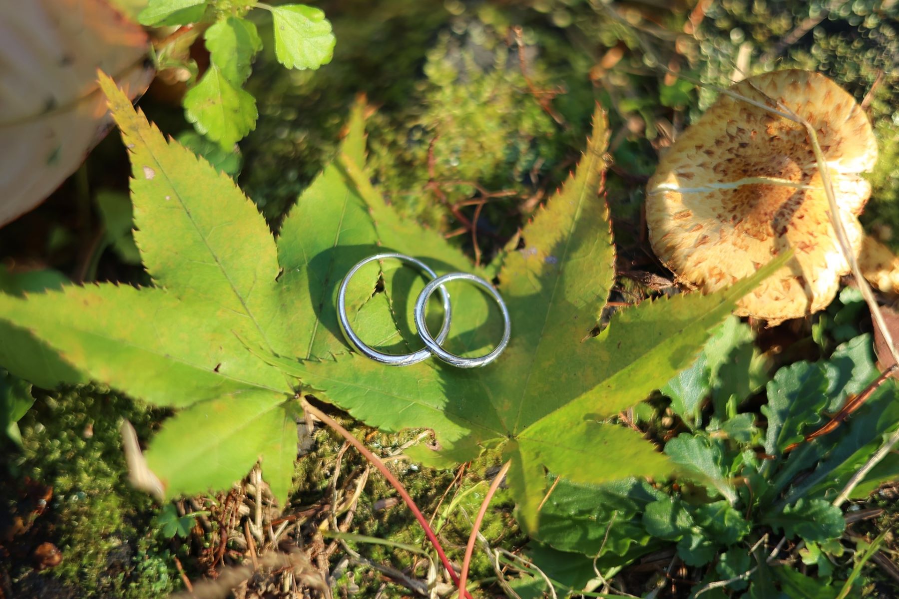 軽井沢の豊かな自然の中で、永遠の愛を誓うマリッジリング。木漏れ日の中で輝く指輪を、特別な一枚に。アネーリ軽井沢では、軽井沢ならではのロケーションフォトで、お二人の大切な結婚指輪を美しく残します。