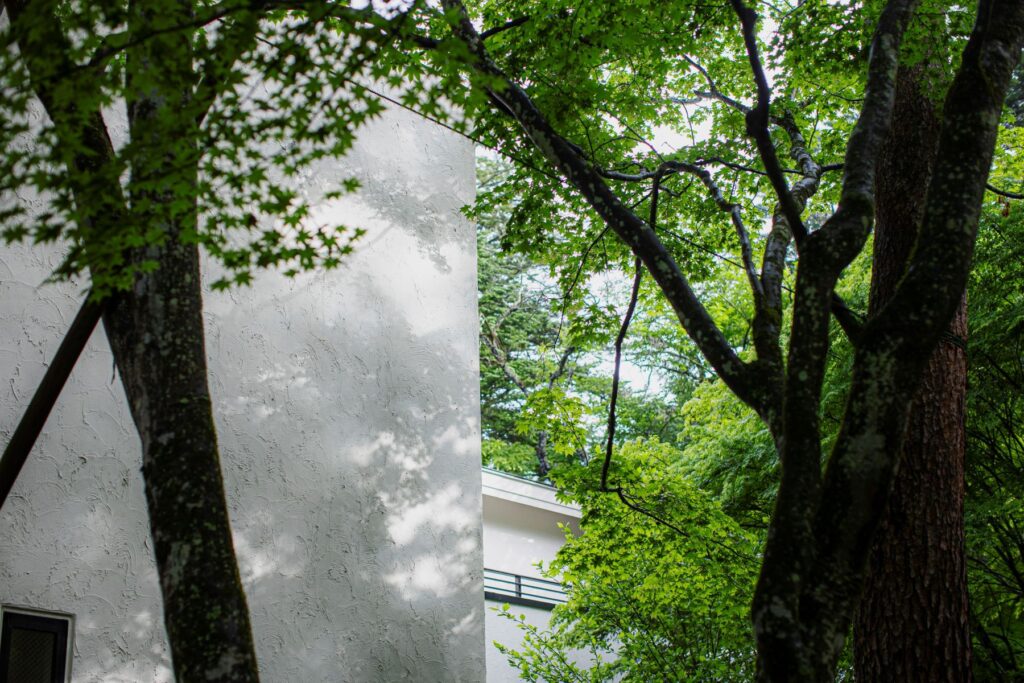 軽井沢の自然と建築