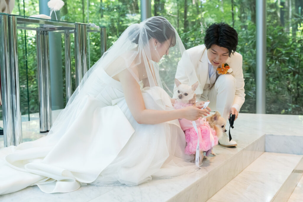 自然光が降り注ぐチャペルの祭壇で、愛犬にリングドッグのお支度。挙式前のリラックスしたアットホームな時間も大切に。
