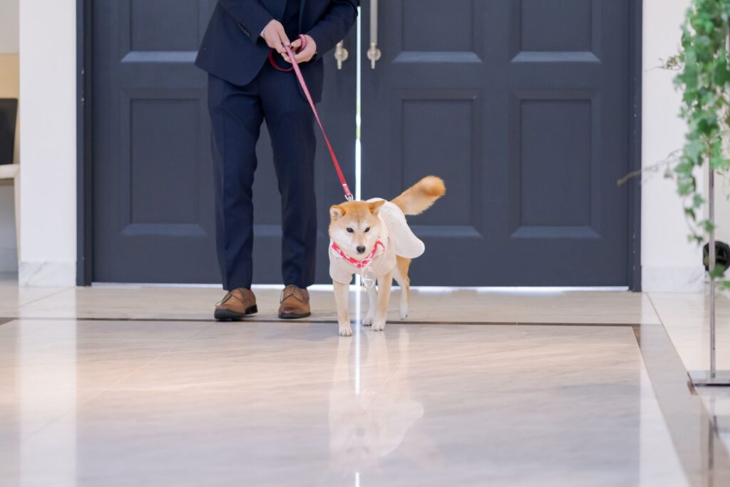 愛犬も大切な家族の一員!可愛いリングドッグの入場に、会場もほっこり。軽井沢で叶えるペットと一緒のアットホーム婚。