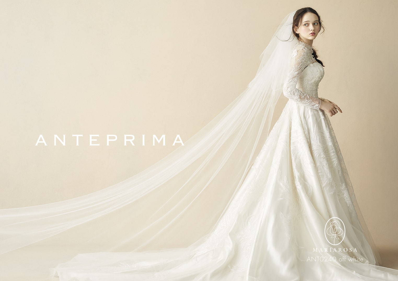 【ANTEPRIMA(アンテプリマ)/ MARIAROSA】品番ANTO240のオフホワイトウェディングドレス。長袖レースと豪華なロングトレーン、クラシカルなハイネックデザインが特徴。