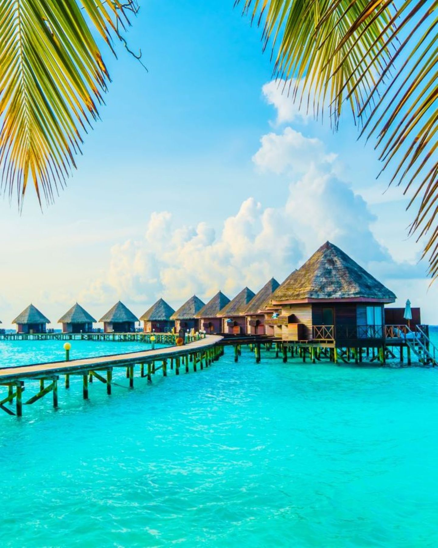 モルディブは、一島一リゾートという特別な環境だからこそ実現できる、究極のプライベートリゾートです。特に水上コテージのテラスから眺めるエメラルドグリーンの海は、日常を忘れさせる非日常の絶景。「何もしない贅沢」を心ゆくまで味わい、誰にも邪魔されない空間で、お互いの存在を再確認する最高の癒しの旅をご提案します。