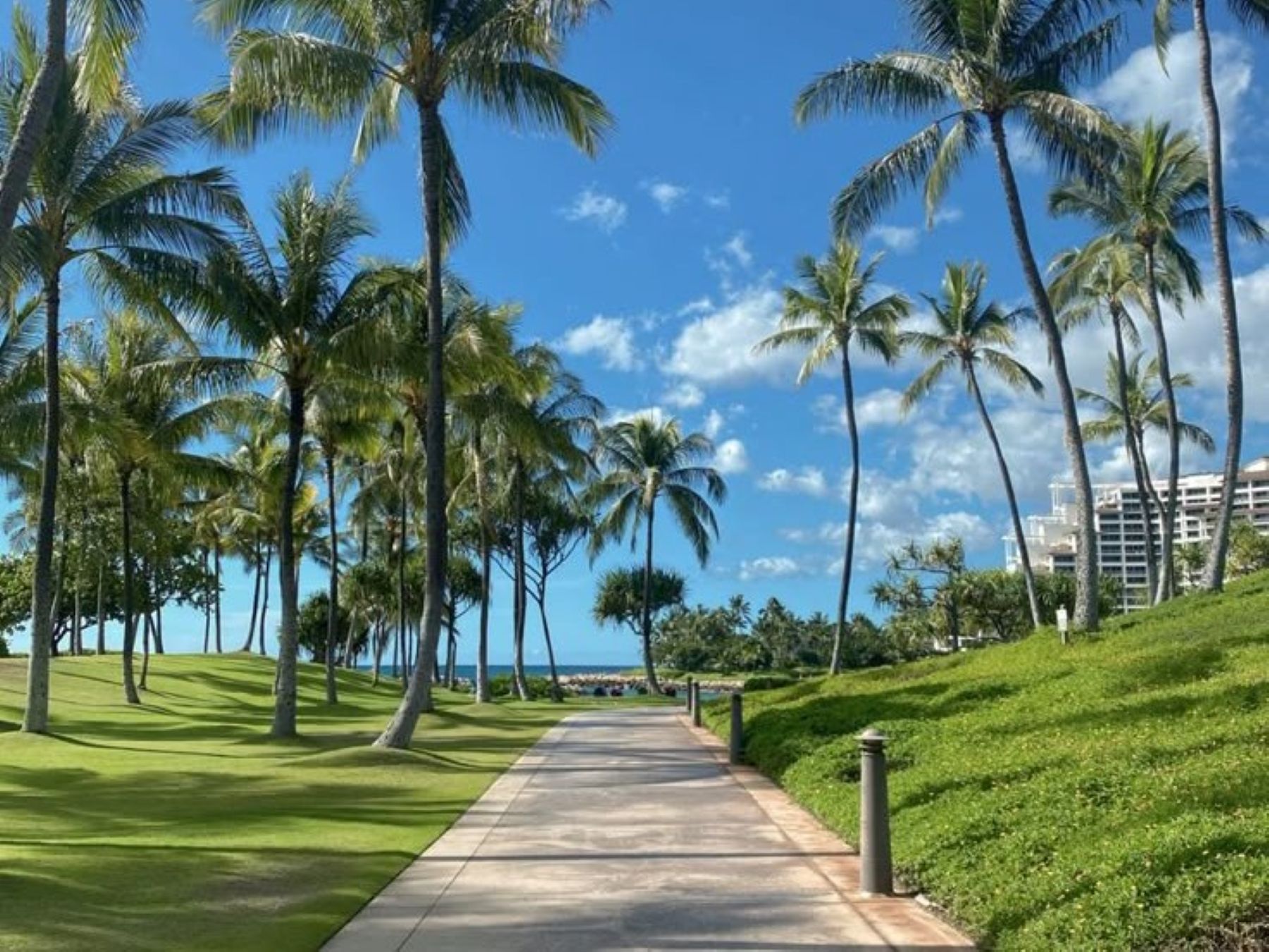 非日常感あふれる軽井沢のウェディング。海外リゾートにも負けない青空と緑のコントラストが魅力。遠方からのゲストも満喫できる滞在型ウエディングを。