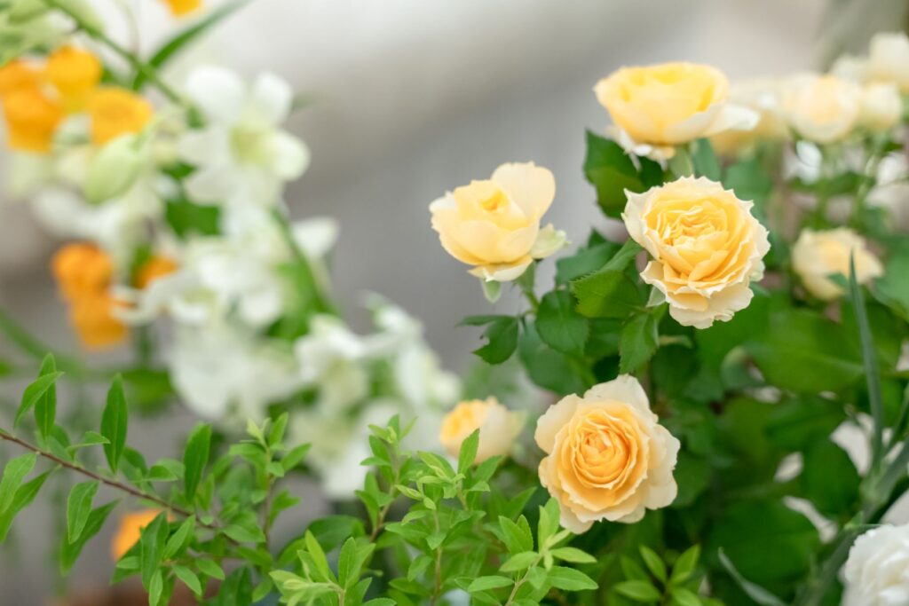 やわらかなイエローのバラと瑞々しいグリーンが彩る会場装花は、自然豊かな軽井沢の雰囲気と調和し、結婚式に温かな彩りを添えます。写真にも美しく残り、ゲストの記憶に残る上質な空間演出が叶います。