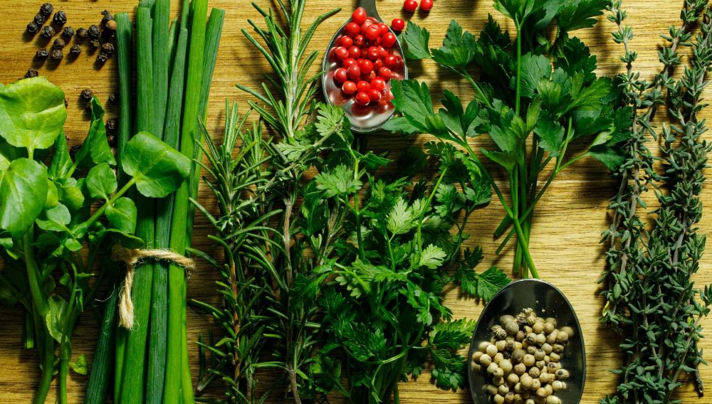 軽井沢の結婚式場「アネーリ軽井沢」の美食を支える旬のハーブ。五感を刺激する、おもてなしのための瑞々しい香りと色彩。