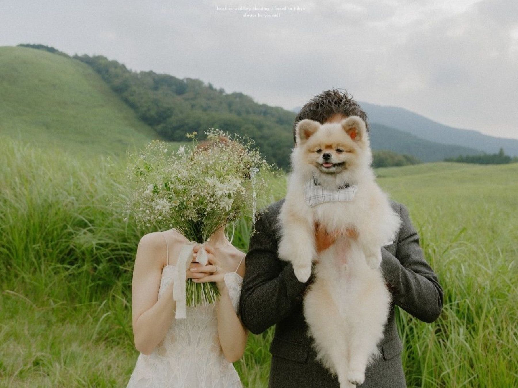 軽井沢の豊かな自然に囲まれたロケーションで、愛犬と一緒に楽しむ前撮りフォト。ナチュラルな草原と優しい光が、おふたりらしいリラックスした表情を引き出します。ペットと叶える結婚写真やアットホームなウェディングをご検討の方におすすめです。