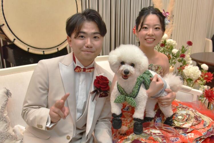 Doggy Wedding