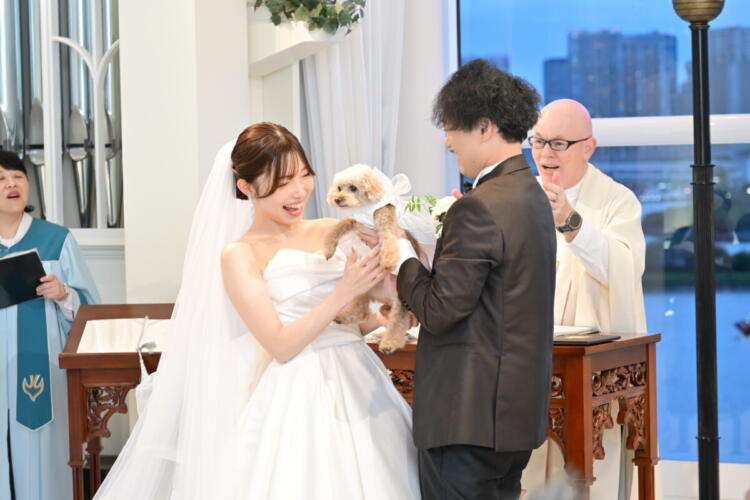 リングドッグ🐕