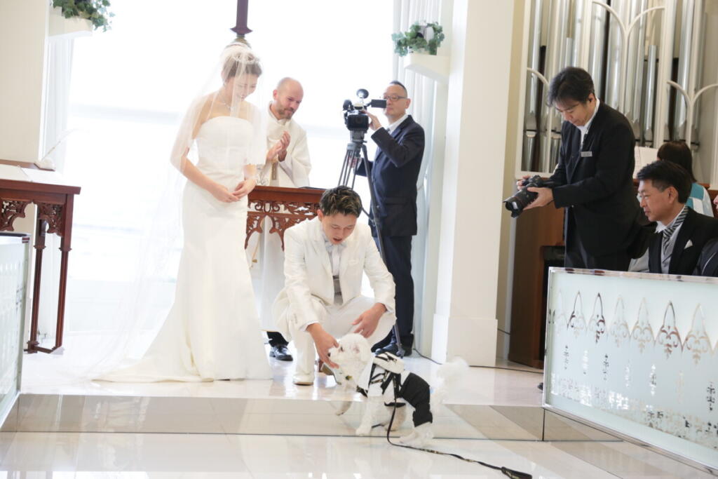 愛犬とともに迎える心あたたまる一日