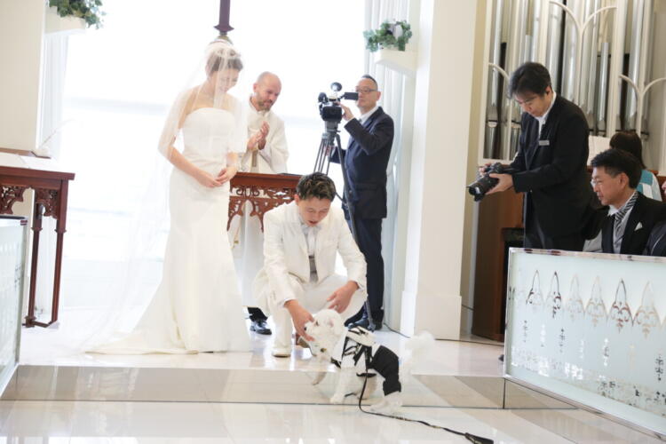 愛犬とともに迎える心あたたまる一日