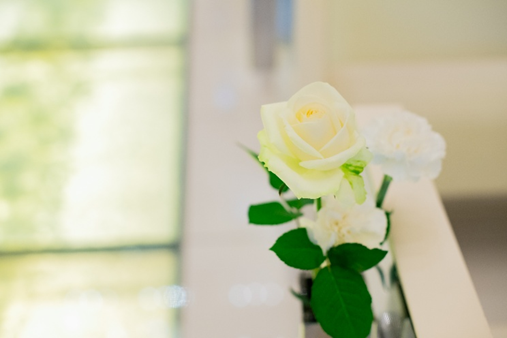さいたま市結婚式場アネーリ大宮の館内に飾られた、一輪の白いバラ。柔らかな自然光が差し込む背景に、瑞々しいグリーンと白の花びらが映える、上質な空間演出。