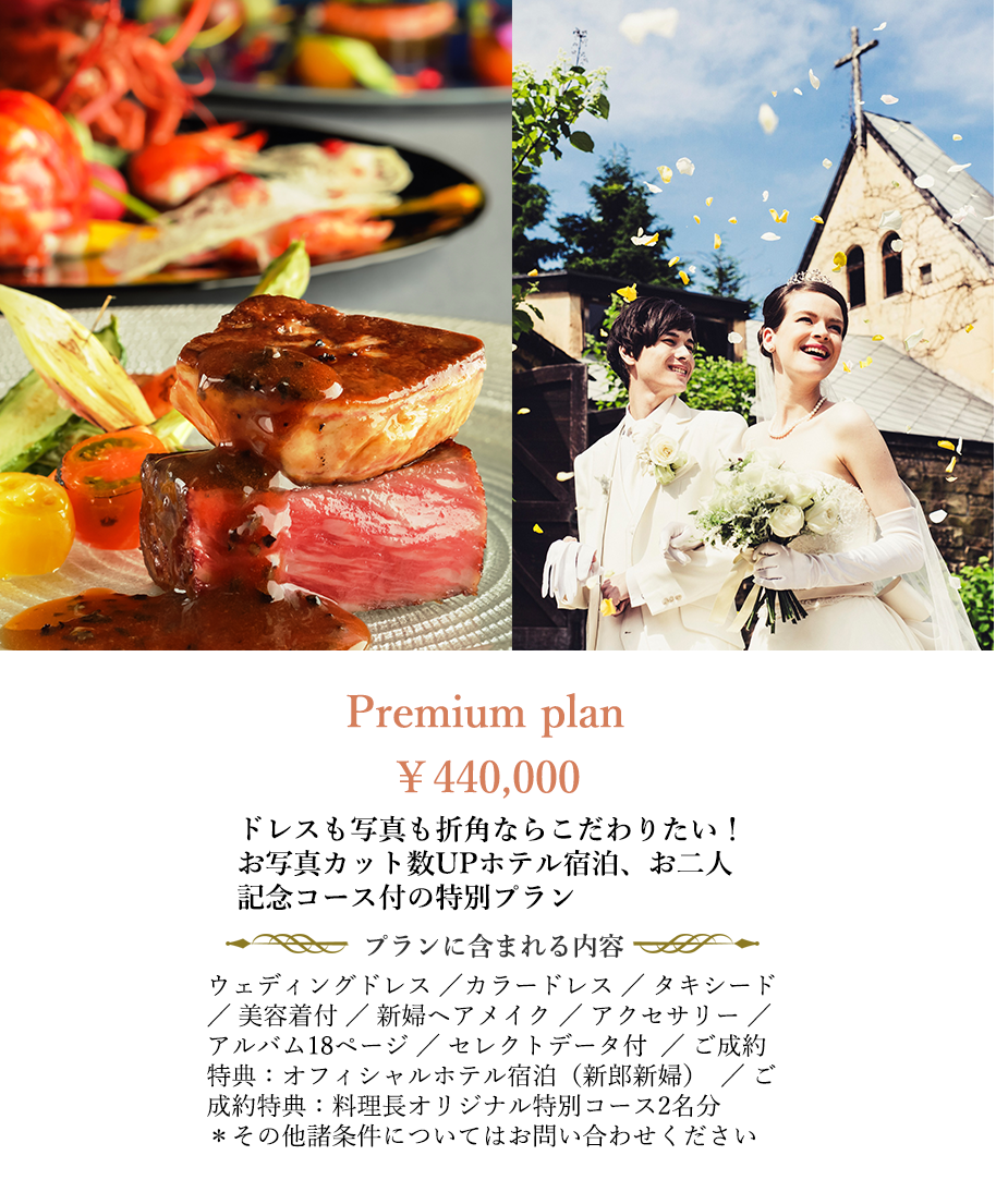 Premium plan ￥350,000（税抜）